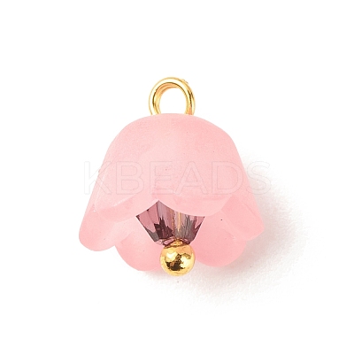 Transparent Acrylic Charms PALLOY-JF01603-02-1