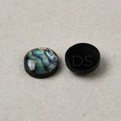 Natural Abalone Shell/Paua Shell Cabochons with Enamel BSHE-WH0006-06B-1