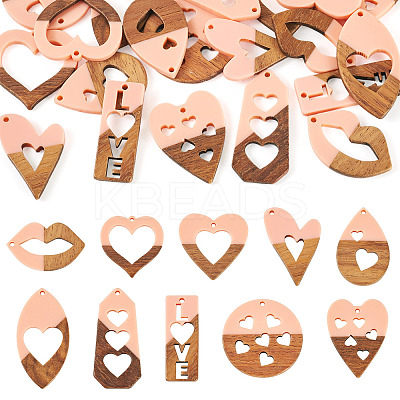20Pcs 10 Styles Resin and Walnut Pendants WOOD-TA0002-73A-1