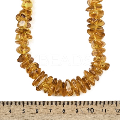 Natural Amber Chip Beaded Necklaces NJEW-L466-03B-1