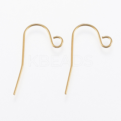 Ion Plating(IP) 304 Stainless Steel Earring Hooks STAS-G170-12G-1