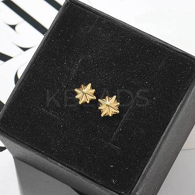 304 Stainless Steel Stud Earrings for Women LS-STAS-Z117-17G-01-1