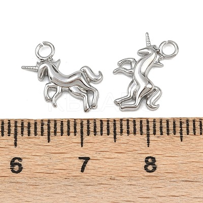 304 Stainless Steel Charms STAS-H242-01P-07-1