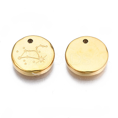 316 Surgical Stainless Steel Charms LS-STAS-S116-418H-G-1