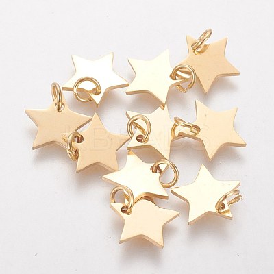 Ion Plating(IP) 304 Stainless Steel Charms STAS-Q201-T461G-1