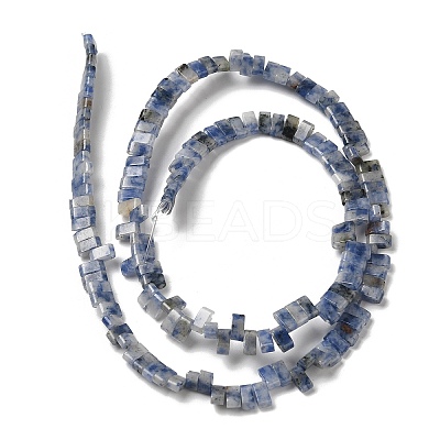 Natural Blue Spot Jasper Beads Strands G-Z045-A08-01-1