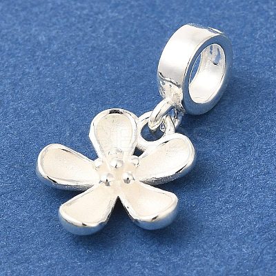 925 Sterling Silver European Dangle Charms STER-G043-07S-1