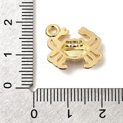 304 Stainless Steel Pendants STAS-B103-02B-G-1