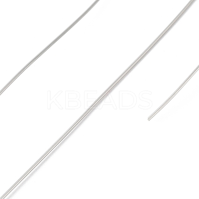 Non-Tarnish 10 Rolls 304 Stainless Steel Wire TWIR-H001-01E-P-1