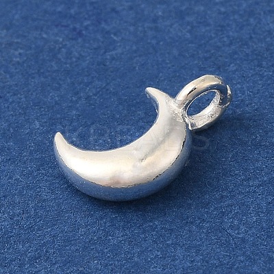 925 Sterling Silver Charms FIND-U013-06S-01-1