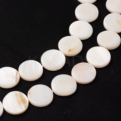Natural White Shell Beads Strands PBB251Y-2-1