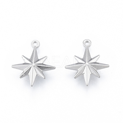 Non-Tarnish 304 Stainless Steel Pendants X-STAS-N097-256P-1