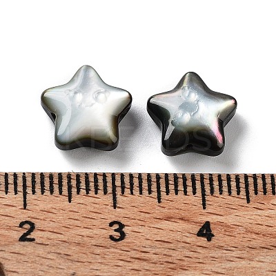 Natural Black Lip Shell Beads SHEL-M020-02B-1