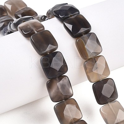 Natural Grey Agate Beads Strands G-T138-163-1