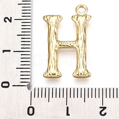 304 Stainless Steel Pendants STAS-N117-01G-H-1