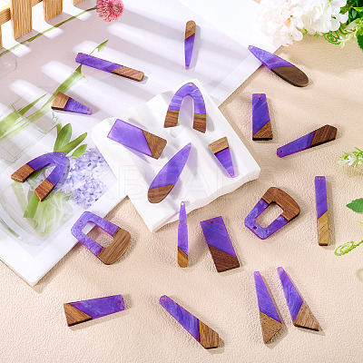 20Pcs 10 Styles Resin & Wood Pendants WOOD-TA0002-67A-1