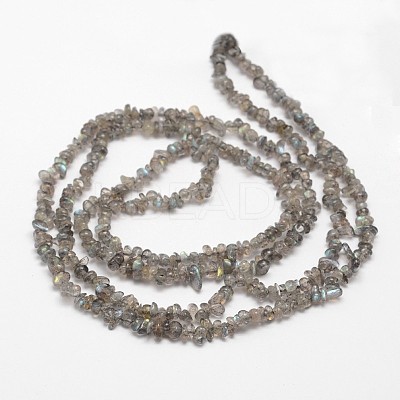 Chips Natural Black Larvikite Beads Strands G-N0164-61-1