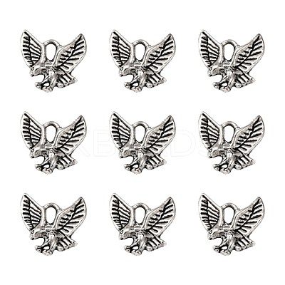 Tibetan Style Alloy Pendants X-TIBEP-20305-AS-NR-1