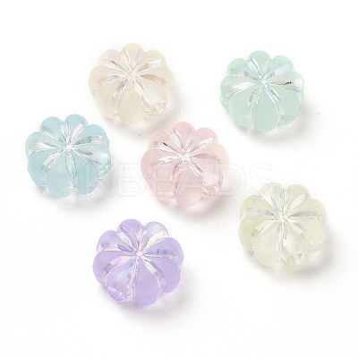 Transparent Frosted Acrylic Beads OACR-C013-31-1