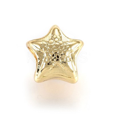 Alloy Beads X-TIBEB-A004-010G-NR-1