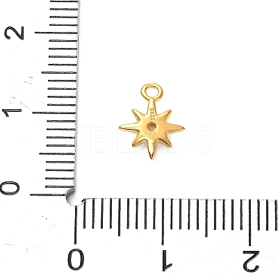 925 Sterling Silver Clear Cubic Zirconia 8-Pointed Star Charms STER-U009-06G-01-1