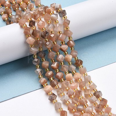 Natural Multi-Moonstone Beads Strands G-P463-06-1