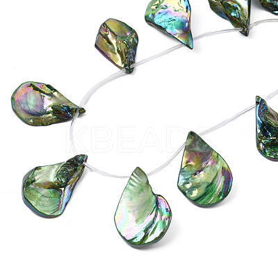 Electroplated Natural Freshwater Shell Beads SHEL-N026-196-1