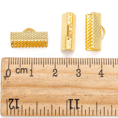 Iron Ribbon Crimp Ends E183Y-G-1
