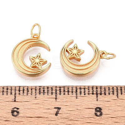 925 Sterling Silver Moon with Star Charms STER-N016-93G-1