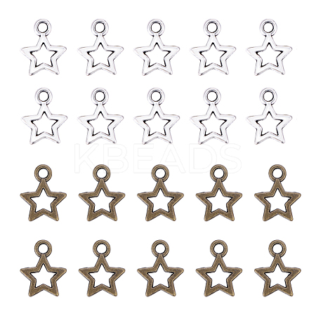 Tibetan Style Alloy Charms PALLOY-PH0005-73-1