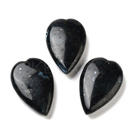 Natural Larvikite Pendants G-D087-02G-1