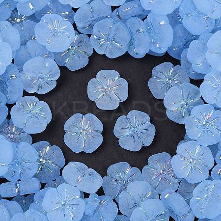 Frosted Transparent Acrylic Beads OACR-P029-19B-01-1
