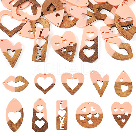 20Pcs 10 Styles Resin and Walnut Pendants WOOD-TA0002-73A-1