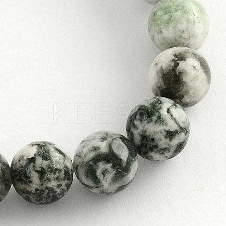 Natural Agate Round Gemstone Beads Strands G-R255-6mm-1