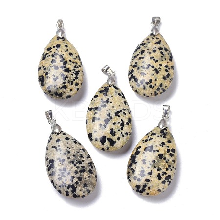 Natural Dalmatian Jasper Pendants G-D084-01P-B09-1