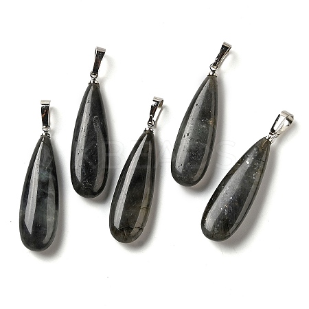 Natural Labradorite Pendants G-Q192-07P-06-1