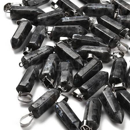 Natural Labradorite Pendants G-Z067-07P-24-1
