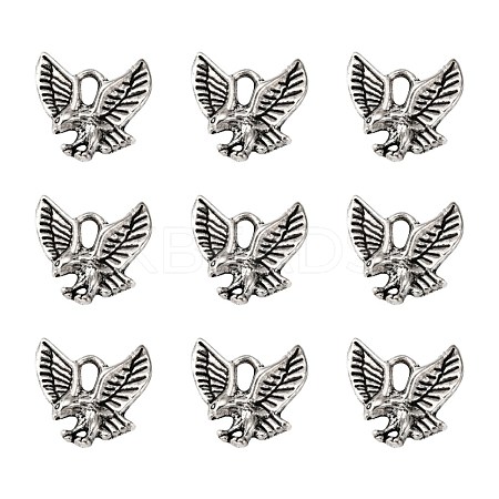 Tibetan Style Alloy Pendants X-TIBEP-20305-AS-NR-1
