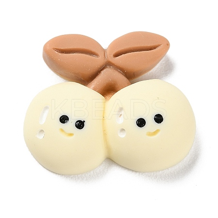 Cartoon Opaque Resin Cherry Cabochons LS-RESI-Q218-01C-1