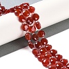 Natural Carnelian(Dyed & Heated) Beads Strands G-N342-19-1