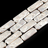 Plating Natural Freshwater Shell Beads Strands X-SHEL-N026-231-1