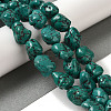 Natural Turquoise Beads Strands G-B078-D31-04-2