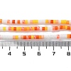 Handmade Lampwork Beads Strands LAMP-L078-008B-4