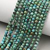 Natural HuBei Turquoise Beads Strands G-P629-A04-03-3