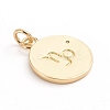 Brass Micro Pave Cubic Zirconia Pendants ZIRC-E164-34I-G-2
