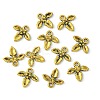 Tibetan Style Alloy Charms GLF10826Y-3