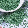 MIYUKI Round Rocailles Beads SEED-X0054-RR0411FR-1