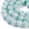 Natural Glass Beads Strands G-I247-15D-3