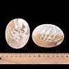 Natural Freshwater Pearl and Freshwater Shell Big Pendants SHEL-T020-52-4