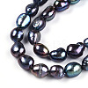 Natural Cultured Freshwater Pearl Beads Strands PEAR-N014-06G-04-4